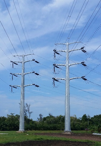 A sleek, single-pole steel monopole tower used for telecommunications or power transmission in an urban area.
